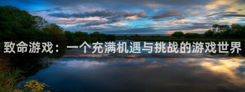 致命游戏：一个充满机遇与挑战的游戏世界