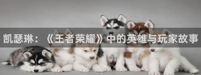 凯瑟琳：《王者荣耀》中的英雄与玩家故事