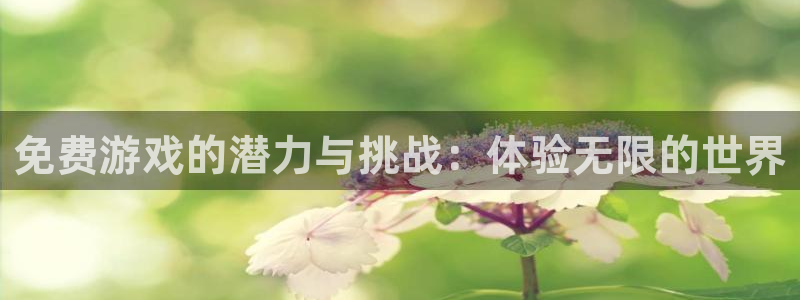 免费游戏的潜力与挑战：体验无限的世界